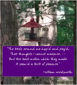 Birds around me-Wordsworth-hashtag purple